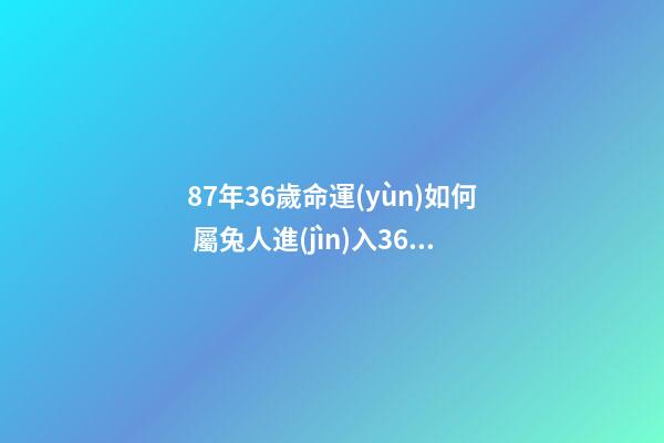 87年36歲命運(yùn)如何 屬兔人進(jìn)入36歲好不好，1987年屬兔人最旺的年齡-第1張-觀點(diǎn)-玄機(jī)派